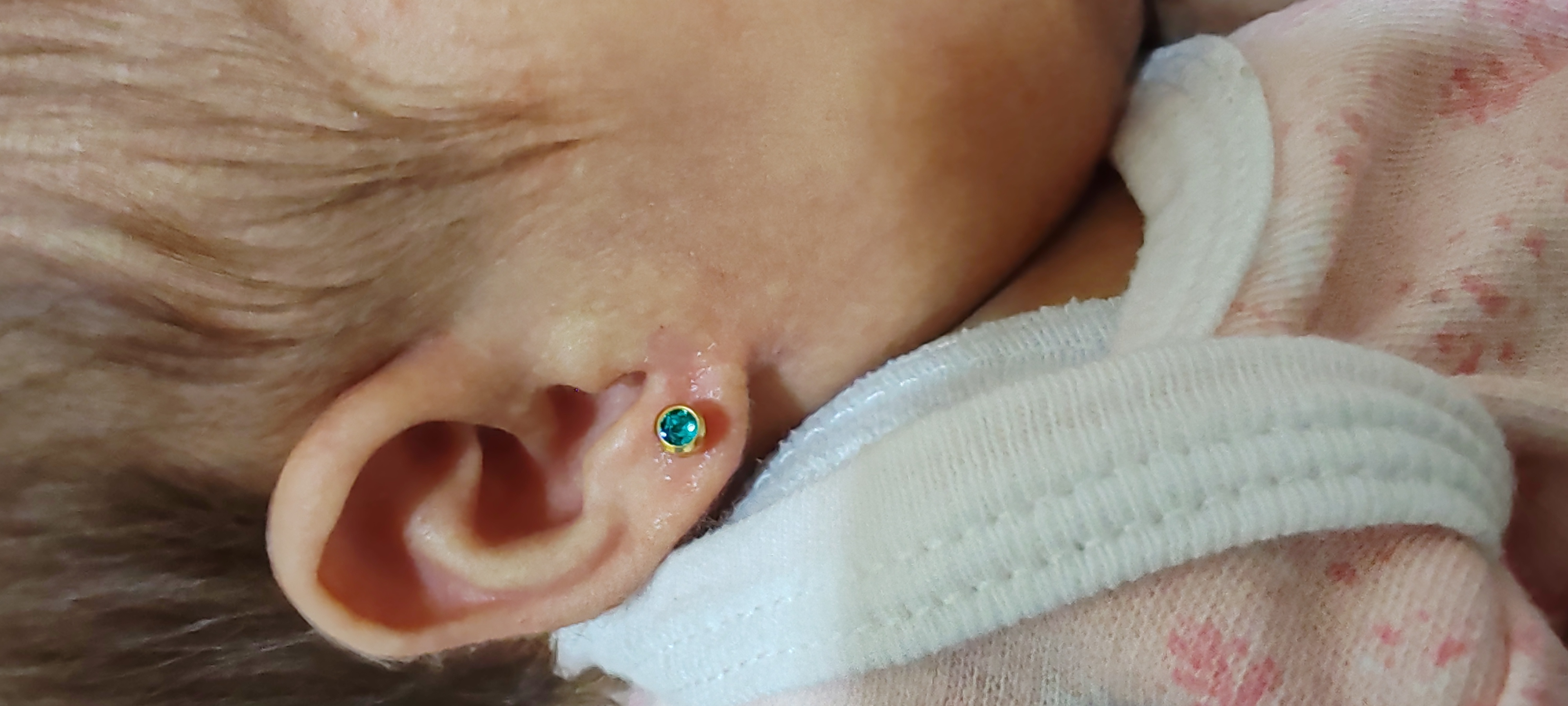 Perforación bebé — Zibá Piercings